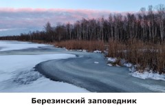 bereziinskij1