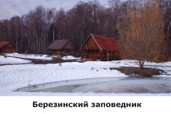 bereziinskij2