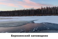 bereziinskij4