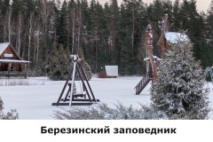 bereziinskij5