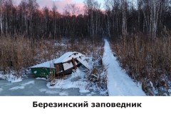 bereziinskij6