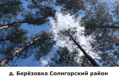 berezovka5