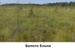 bolotoelnya1