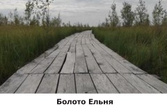 bolotoelnya2