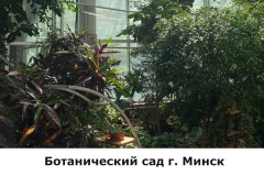 botanicheskij1