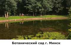 botanicheskij3