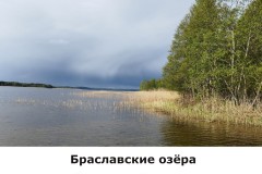 braslavskie1