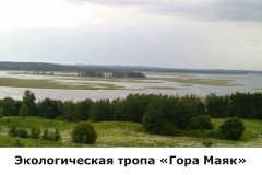 mayak1