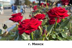 minsk2