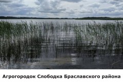 slobodka2
