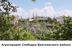 slobodka4