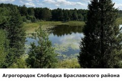 slobodka5