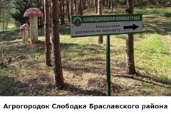 slobodka8