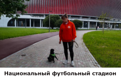stadion2
