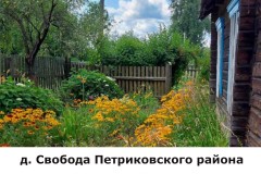 svoboda3