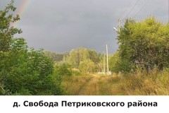 svoboda4