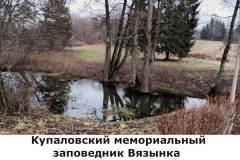 vyazynka2