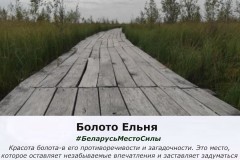 elnya